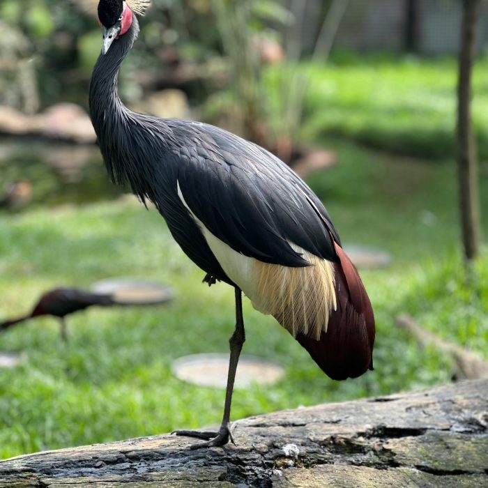 abd-abdu-TK6MIlXiecw-unsplash
