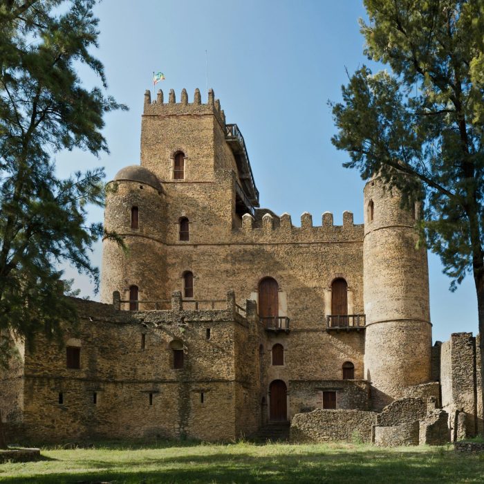hunde-gemechu-vSpuHmEGxcI-unsplash